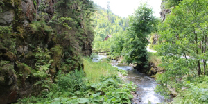 Steinachklamm