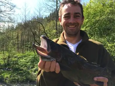 Immer wieder sehr starke Exemplare - 52 cm Bachforelle im Frühjahr 2016