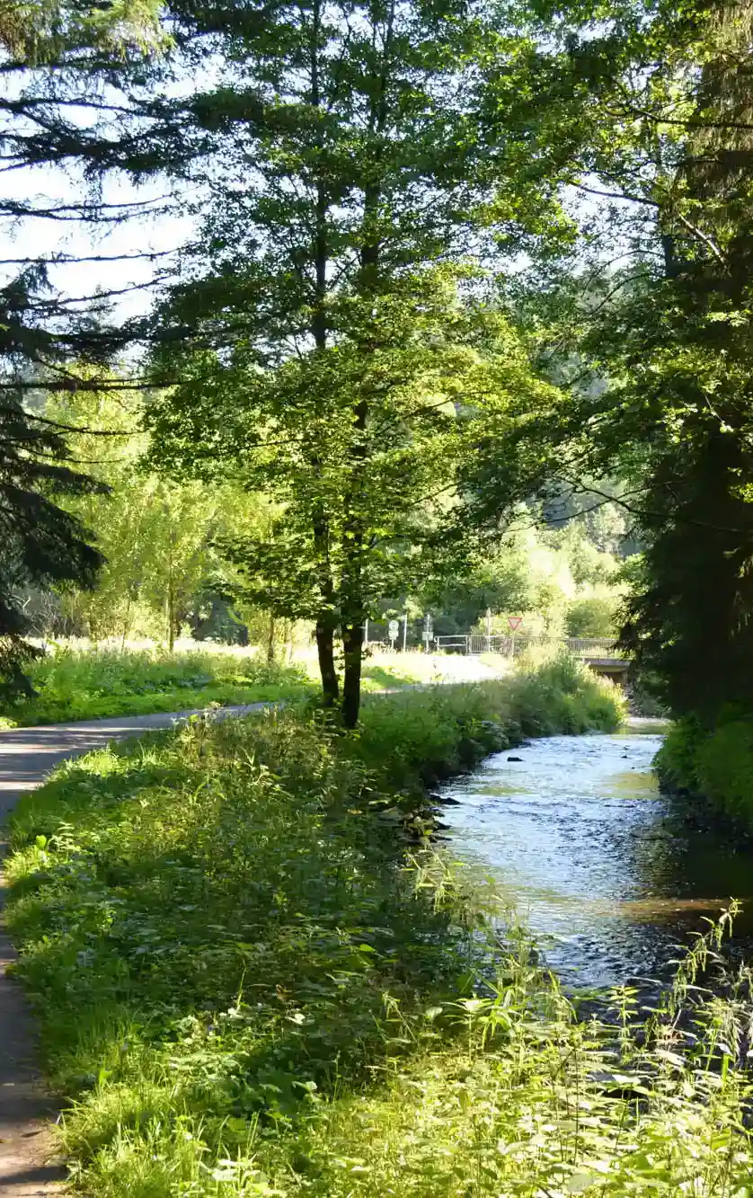 Radwege entlang der wilden Rodach.